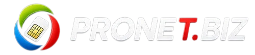 logo pronetbiz 2026